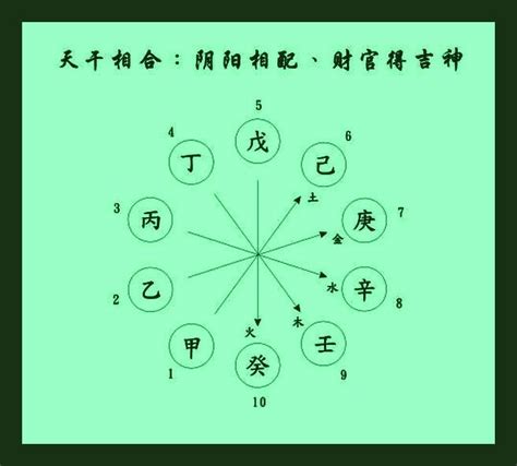 刑沖會合害|沖合刑害:概述,天干五合,天干相衝,天干相剋,地支三合,。